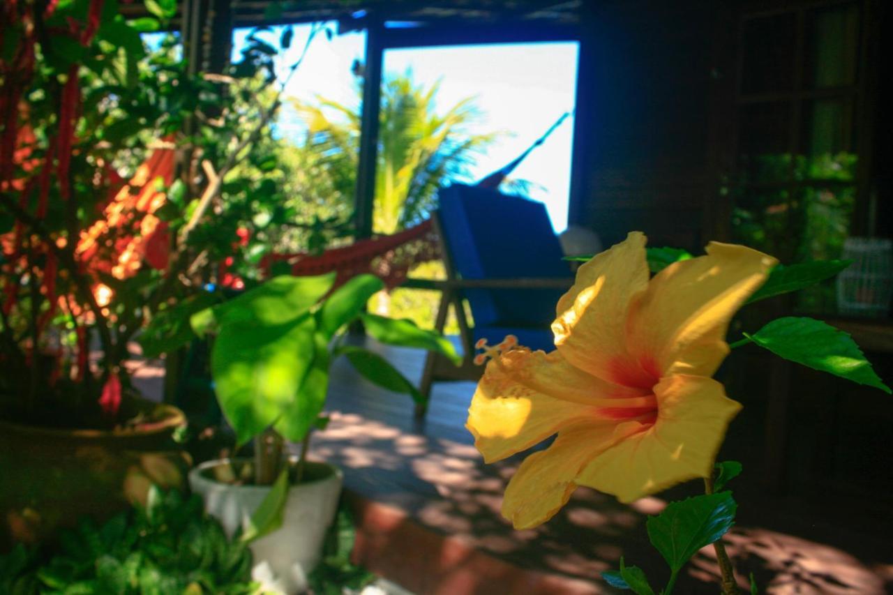 Villa Maree Praia de Pipa Exteriér fotografie